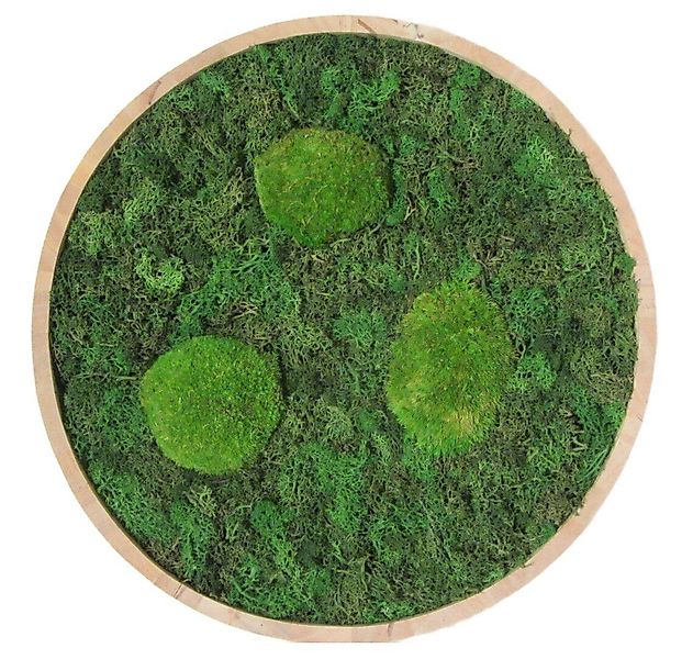 meinvipshop Bild Moos Moosbild Wood rund günstig online kaufen