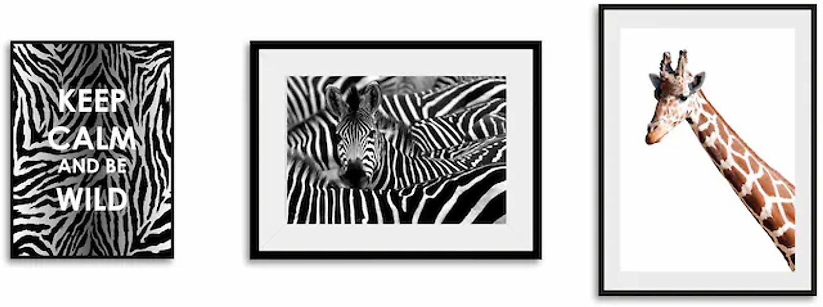 queence Bild »Animals«, Abstrakt-Schriftzug-Sprüche & Texte-Motivationsbild günstig online kaufen
