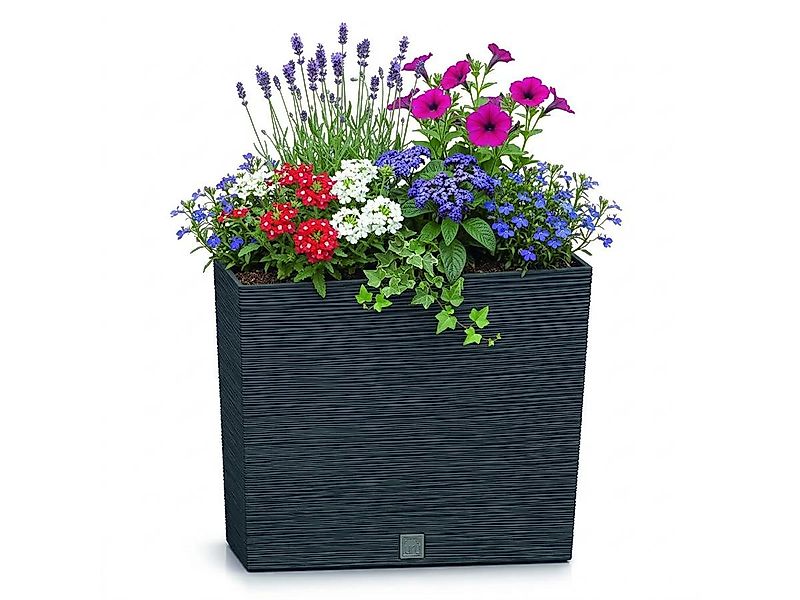 Prosperplast Blumentopf Furu DFC600T (mit Einsatz, 58 x 18 x 49,8 cm), wett günstig online kaufen