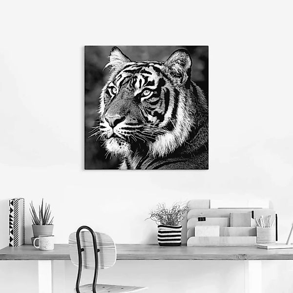 Artland Wandbild »Tiger«, Wildtiere, (1 St.), als Leinwandbild, Poster, Wan günstig online kaufen