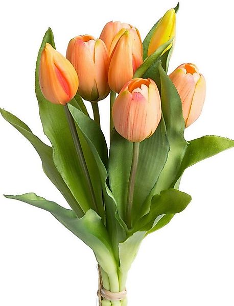 Kunstblume Willa Tulpe, Botanic-Haus, Höhe 32 cm, Tulpenbündel im 7er-Set günstig online kaufen