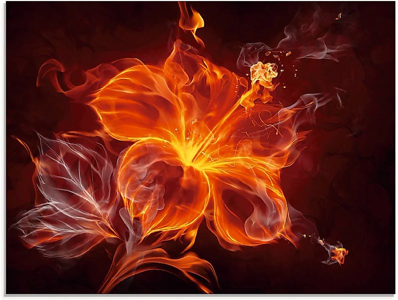 Artland Glasbild "Feuerblume" Blumen 1 Stk. tlg. in verschiedenen Größen günstig online kaufen