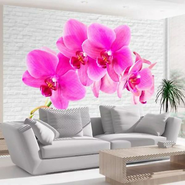 artgeist Fototapete Pink excitation mehrfarbig Gr. 300 x 210 günstig online kaufen