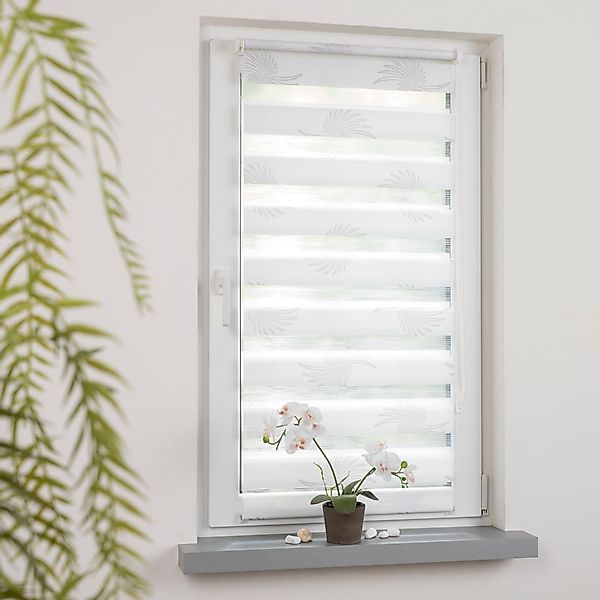 Seitenzugrollo Aster, Liedeco, Lichtschutz, ohne Bohren, günstig online kaufen