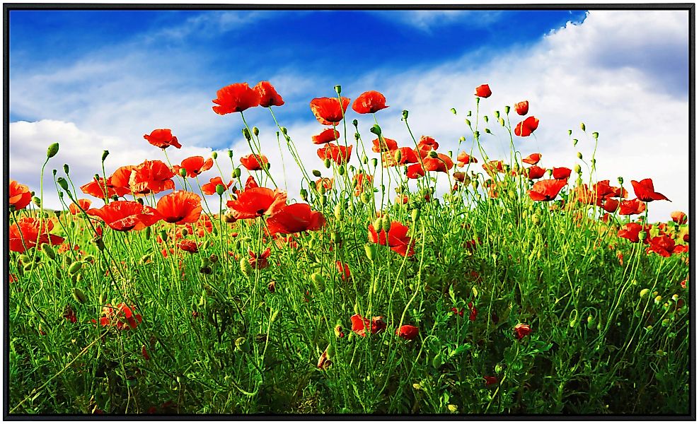 Papermoon Infrarotheizung »Rote Mohnblumen« günstig online kaufen