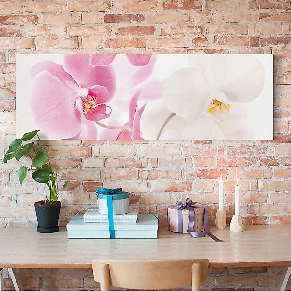 Leinwandbild Blumen - Panorama Delicate Orchids günstig online kaufen