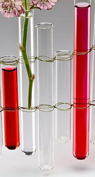 Sandra Rich Dekovase TEST TUBES günstig online kaufen