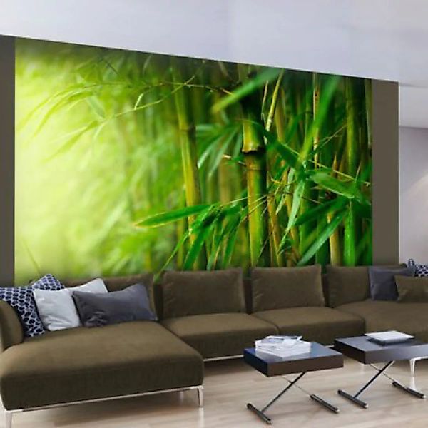 artgeist Fototapete Dschungel - Bambus grey denim Gr. 200 x 154 günstig online kaufen