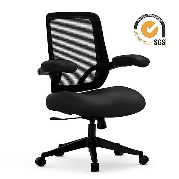 FLEXISPOT Bürostuhl Big MAX Ergonomischer Bürostuhl günstig online kaufen