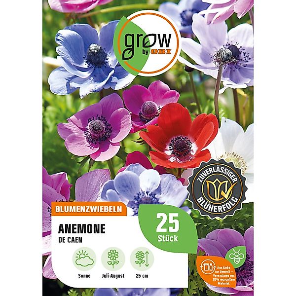 GROW by OBI Anemone De Caen Höhe ca. 25 cm Anemone coronaria günstig online kaufen