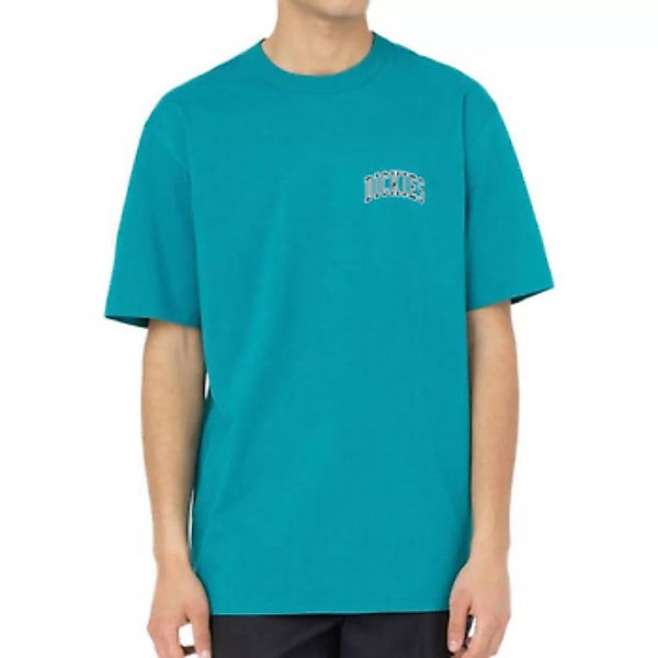 Dickies  T-Shirts & Poloshirts DK0A4Y8OE641 günstig online kaufen
