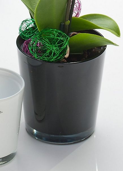 Sandra Rich Blumentopf Orchideentopf Orchid konisch von Sandra Rich günstig online kaufen
