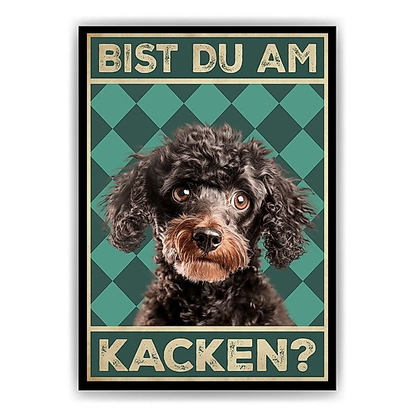 Tigerlino Poster Bist du am Kacken? günstig online kaufen
