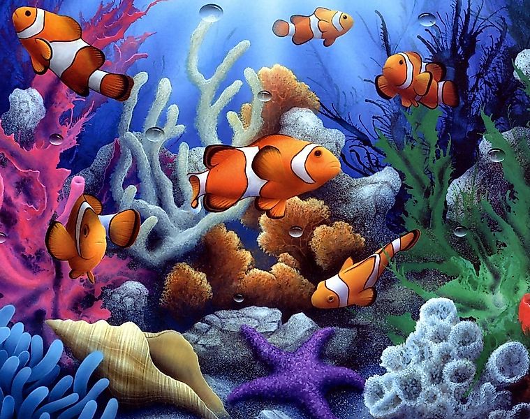 LA CUTE Malen nach Zahlen 5d Diamond Painting Clownfische Meer Malen nach Z günstig online kaufen