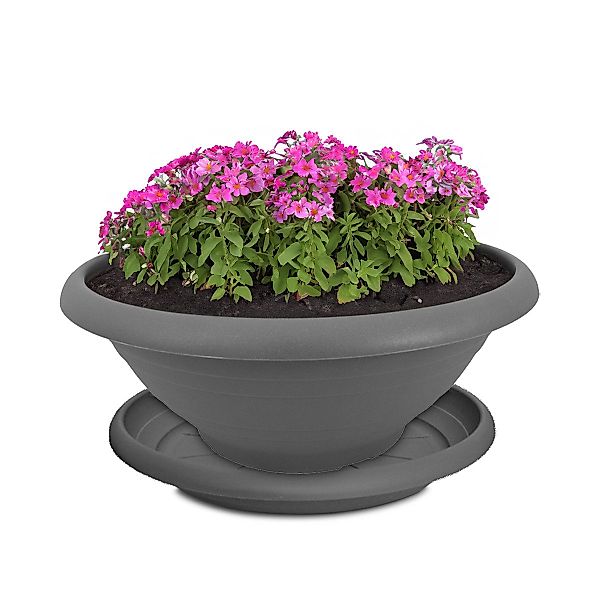 matches21 HOME & HOBBY Blumentopf Pflanzkübel günstig online kaufen