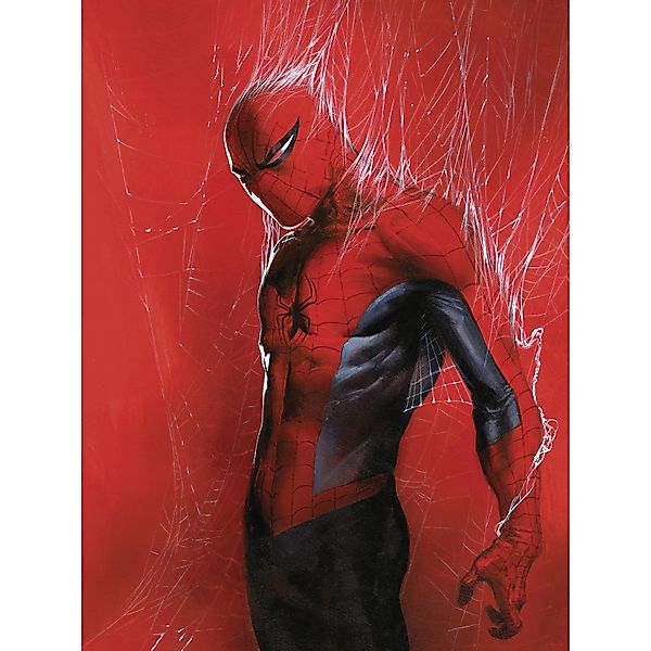 Komar Wandbild Marvel Spider-Man Through the Spider Web 30 cm x 40 cm Rot günstig online kaufen