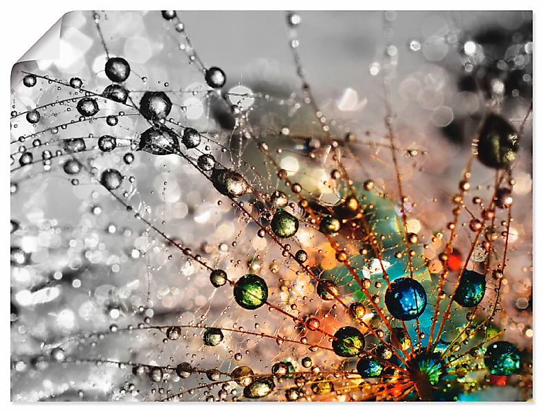 Artland Wandbild "Farbenfrohe Natur" Blumen 1 Stk. tlg. als Alubild, Leinwa günstig online kaufen