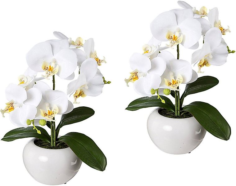 Kunstpflanze Orchidee, Creativ green, Höhe 35 cm, 2er Set günstig online kaufen