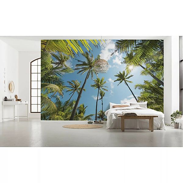 KOMAR Vlies Fototapete - Coconut Heaven  - Größe 450 x 280 cm mehrfarbig günstig online kaufen