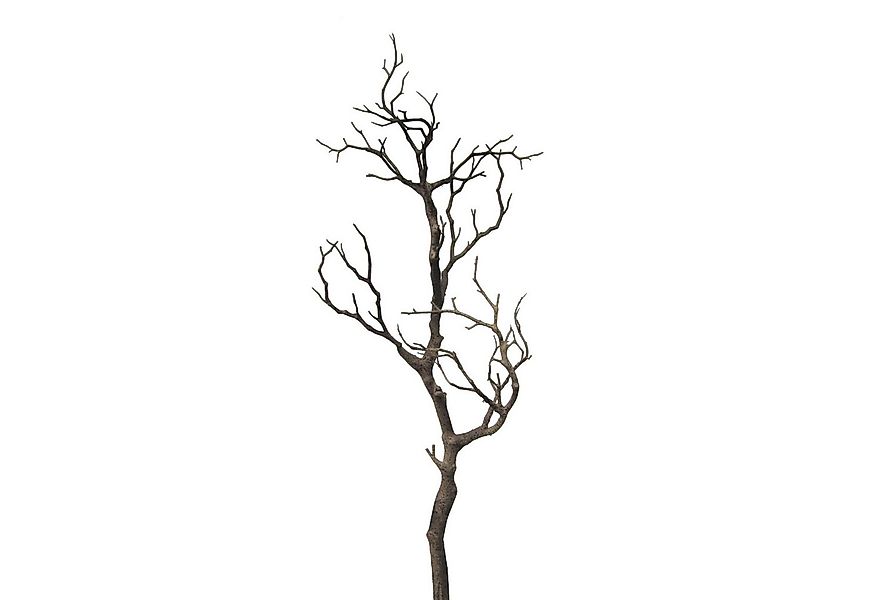 Gestecke, Gasper, Höhe 73 cm günstig online kaufen