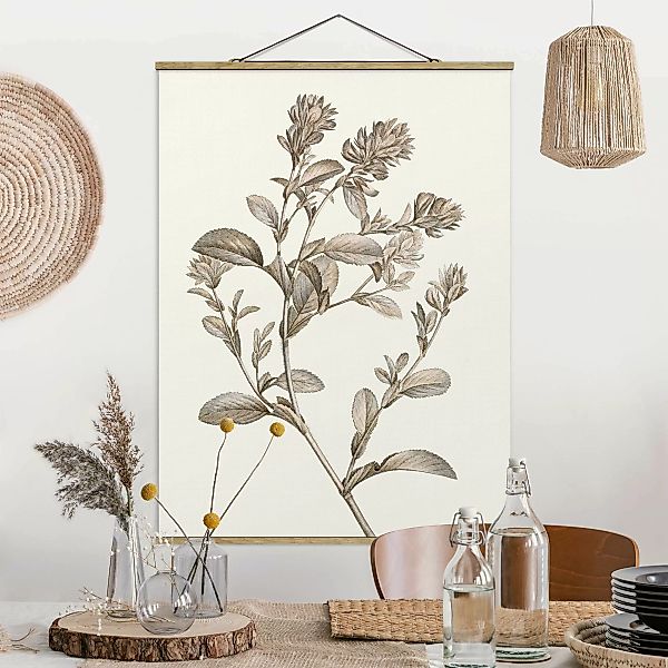 Stoffbild Blumen mit Posterleisten - Hochformat Botanische Studie in Sepia günstig online kaufen