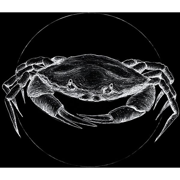 Komar Bild "Crab Black", Tiere, (1 St.), Wandbild zur Dekoration - ohne Rah günstig online kaufen