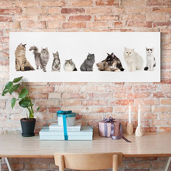 Leinwandbild Kinderzimmer - Panorama Katzenbande günstig online kaufen