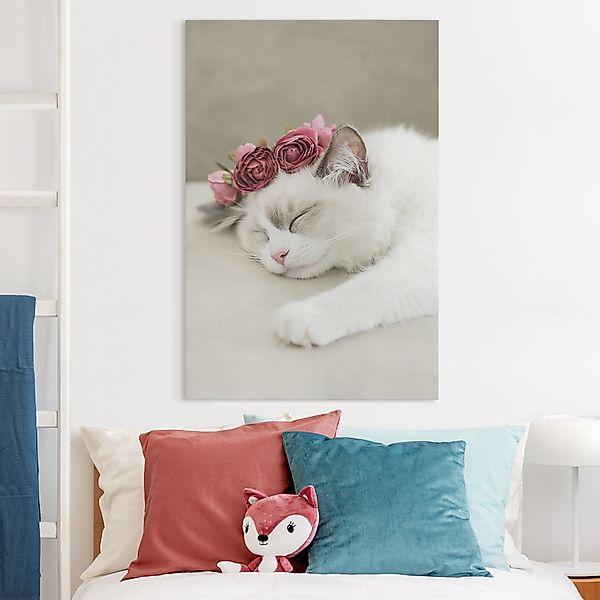 Leinwandbild Schlafende Katze mit Rosen günstig online kaufen