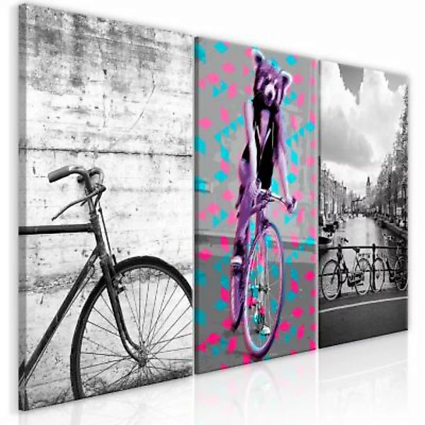 artgeist Wandbild Bikes (Collection) mehrfarbig Gr. 60 x 30 günstig online kaufen