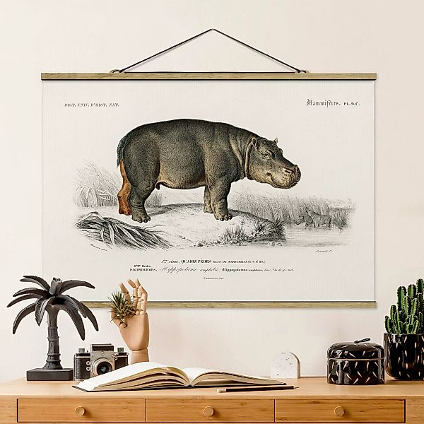 Stoffbild Tiere mit Posterleisten - Querformat Vintage Lehrtafel Nilpferd günstig online kaufen