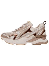 STEVE MADDEN Speedster SM19000122 Schnürschuh günstig online kaufen