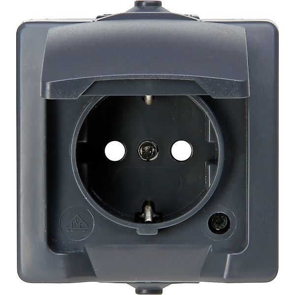 Kopp Steckdose Anthrazit 1 Stück günstig online kaufen