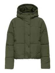 JDY Steppjacke JDYWONDER SHORT HOOD PUFFER günstig online kaufen