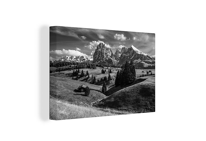 OneMillionCanvasses® Leinwandbild Seiser Alm - Schwarz - Weiß - Gras, Fotod günstig online kaufen
