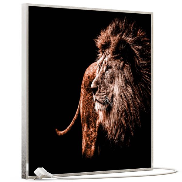 STEINFELD Heizsysteme Infrarotheizung, Bild, 350W 60x60cm, günstig online kaufen