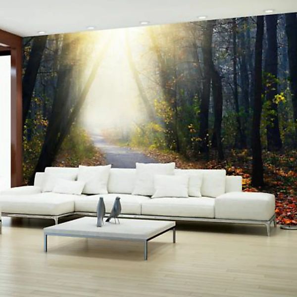 artgeist Fototapete Road through the Forest mehrfarbig Gr. 350 x 245 günstig online kaufen