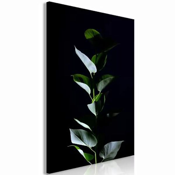 artgeist Wandbild In the Moonlight (1 Part) Vertical schwarz/grün Gr. 40 x günstig online kaufen
