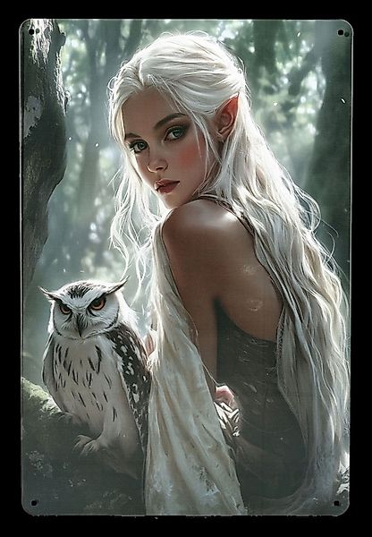 Figuren Shop GmbH Wanddekoobjekt Elfen Blechschild – Eule und Elfe Wanddeko günstig online kaufen