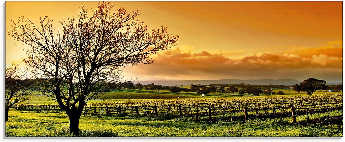Artland Glasbild "Landschaft mit Weinbergen" Felder 1 Stk. tlg. in verschie günstig online kaufen