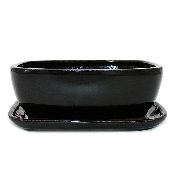 Exotenherz Pflanzschale Bonsai-Schale Unterteller Gr.4 Schwarz günstig online kaufen
