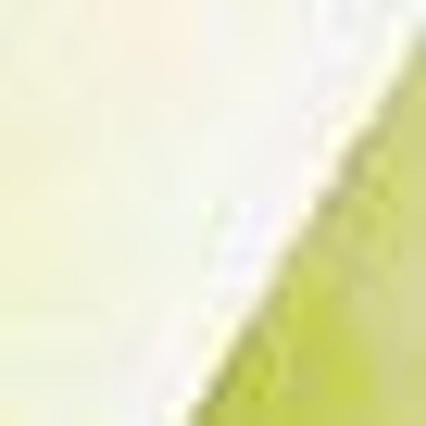 Winterliche Kunstpflanze Weihnachtsdeko Christrose, Creativ deco, günstig online kaufen