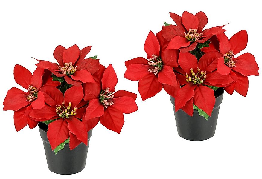 Kunstblume Poinsettia im Topf Christstern, I.GE.A., Höhe 17 cm, 2er Set Kün günstig online kaufen