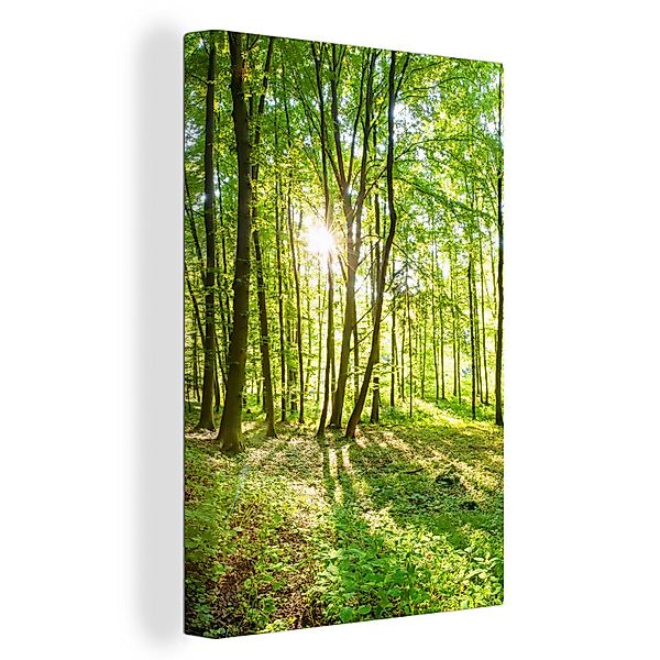 OneMillionCanvasses® Leinwandbild Natur - Bäume - günstig online kaufen