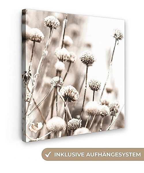 OneMillionCanvasses® Leinwandbild Blumen - Pflanzen - Stillleben - Natur, F günstig online kaufen