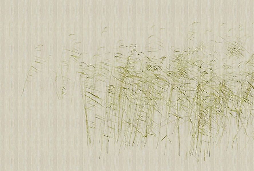 living walls Fototapete »Walls by Patel At The Pond« glatt Vlies, Wand günstig online kaufen