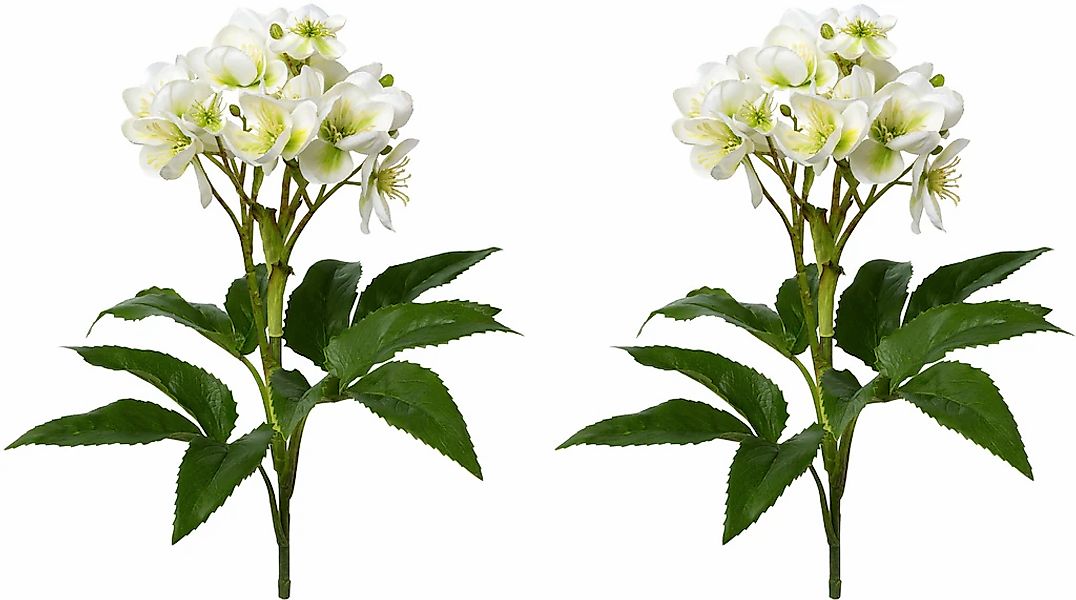 Creativ green Winterliche Kunstpflanze "Weihnachtsdeko", üppiges Blüten- un günstig online kaufen