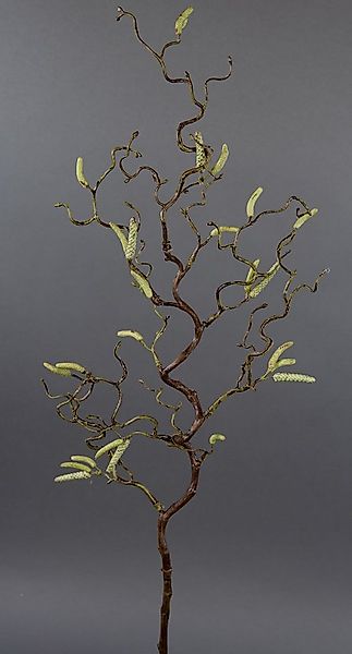 Kunstzweig Korkenzieherzweig / Haselnusszweig GA Kunstzweig künstlicher Kor günstig online kaufen