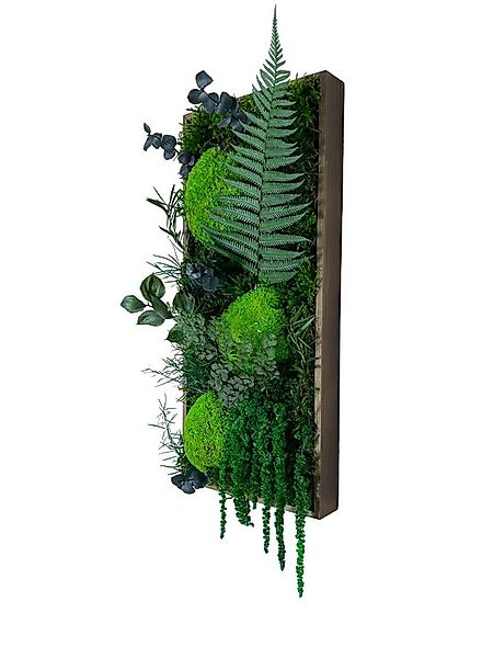 Gedankenwunder Manufaktur Bild Moosbild Ranken Dschungel Holz Rahmen Wandga günstig online kaufen