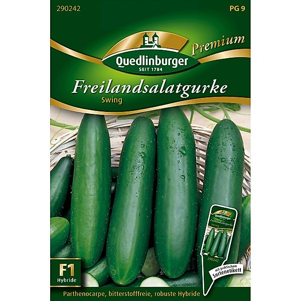 Quedlinburger Freiland Salatgurke ''Swing'' günstig online kaufen