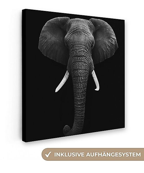 OneMillionCanvasses® Leinwandbild Elefant - Wildtiere - Schwarz - Weiß - Po günstig online kaufen